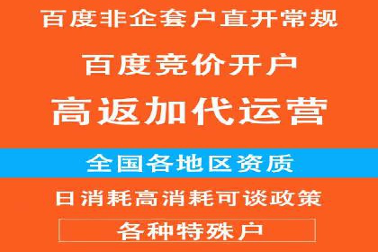 百度竞价排名服务：成功案例解析